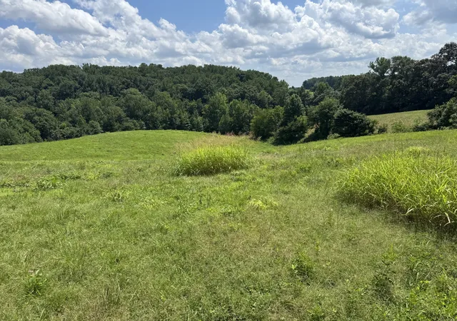 Homes for sale in Smithville, TN | 0 Potts Camp Rd, Smithville, TN 37166 | MLS# 3267488