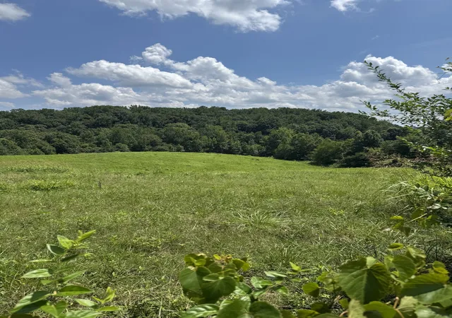 Homes for sale in Smithville, TN | 0 Potts Camp Rd, Smithville, TN 37166 | MLS# 3267488