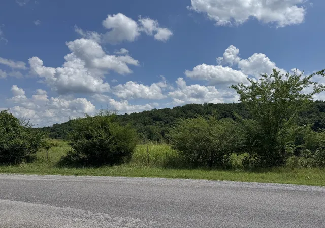 Homes for sale in Smithville, TN | 0 Potts Camp Rd, Smithville, TN 37166 | MLS# 3267488