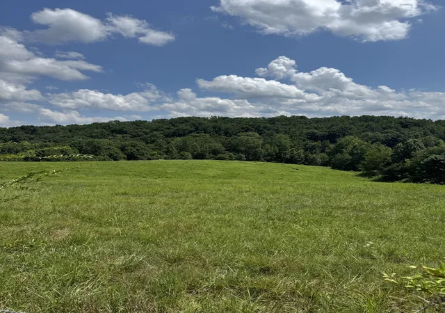 Homes for sale in Smithville, TN | 0 Potts Camp Rd, Smithville, TN 37166 | MLS# 3267488
