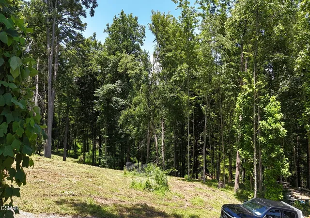 3rd image of 11 Cherokee Dr, Dandridge, TN 37725 | MLS# 3278214