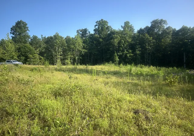 Homes for sale in Camden, TN | 2853 Old Natchez Trace Trail, Camden, TN 38320 | MLS# 3269965