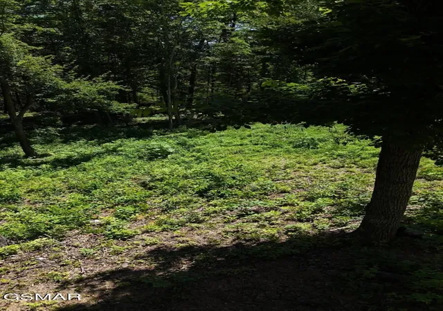 4th image of 12 Cherokee Dr, Dandridge, TN 37725 | MLS# 3278215