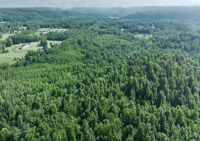 24th image of 1765 Old Cedar Creek Rd, Linden, TN 37096 | MLS# 3283760