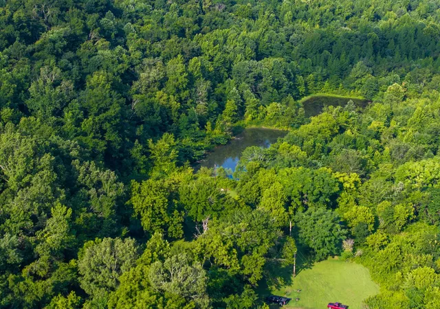 4th image of 1765 Old Cedar Creek Rd, Linden, TN 37096 | MLS# 3283760