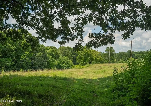 Photo 2 of Land for sale at 98 Blackburn Frk Rd, Gainesboro, TN 38562 | MLS# 3268450 | Listing updated on 2026-08-20