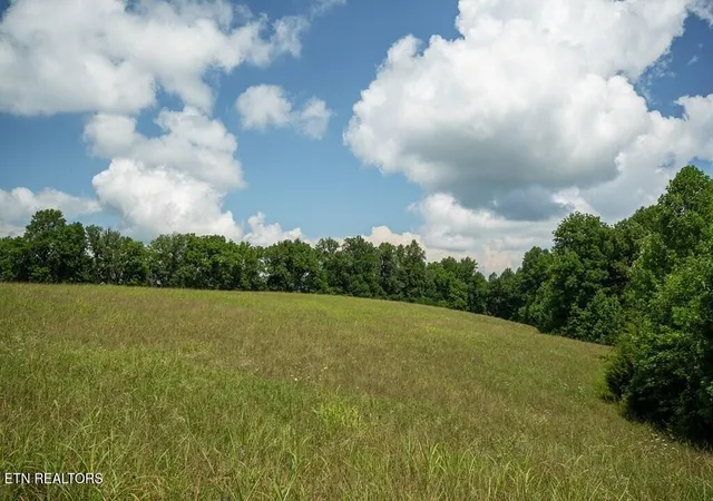 Photo 3 of Land for sale at 98 Blackburn Frk Rd, Gainesboro, TN 38562 | MLS# 3268450 | Listing updated on 2026-08-20
