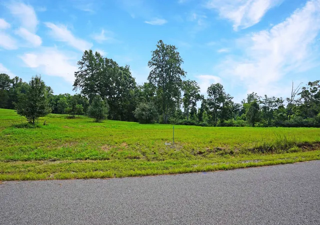 Photo 3 of Land for sale at 4 Peachers Ln, Indian Mound, TN 37079 | MLS# 3281026 | Listing updated on 2026-08-20