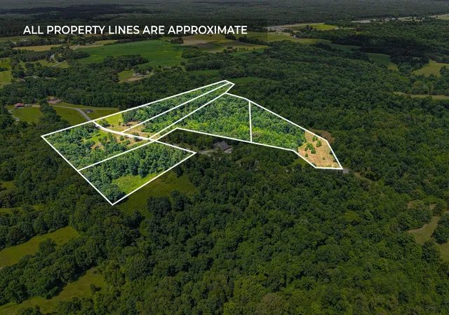 Photo 4 of Land for sale at 4 Peachers Ln, Indian Mound, TN 37079 | MLS# 3281026 | Listing updated on 2026-08-20
