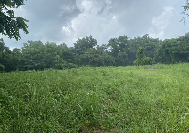 Homes for sale in Pulaski, TN | 0 Johnson Road, Pulaski, TN 38478 | MLS# 3268486