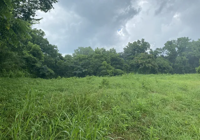 Homes for sale in Pulaski, TN | 0 Johnson Road, Pulaski, TN 38478 | MLS# 3268486