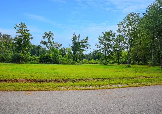 Photo 1 of Land for sale at 5 Peachers Ln, Indian Mound, TN 37079 | MLS# 3281029 | Listing updated on 2026-08-20
