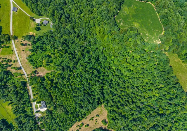 Photo 4 of Land for sale at 5 Peachers Ln, Indian Mound, TN 37079 | MLS# 3281029 | Listing updated on 2026-08-20