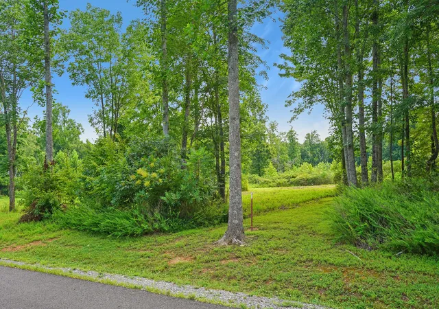 Photo 1 of Land for sale at 6 Peachers Ln, Indian Mound, TN 37079 | MLS# 3281038 | Listing updated on 2026-08-20