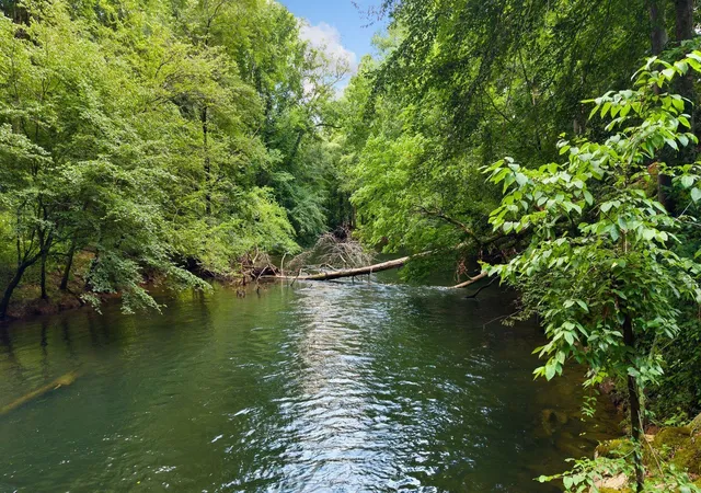 3rd image of 800 Reynolds Bridge Road, Benton, TN 37307 | MLS# 3268544