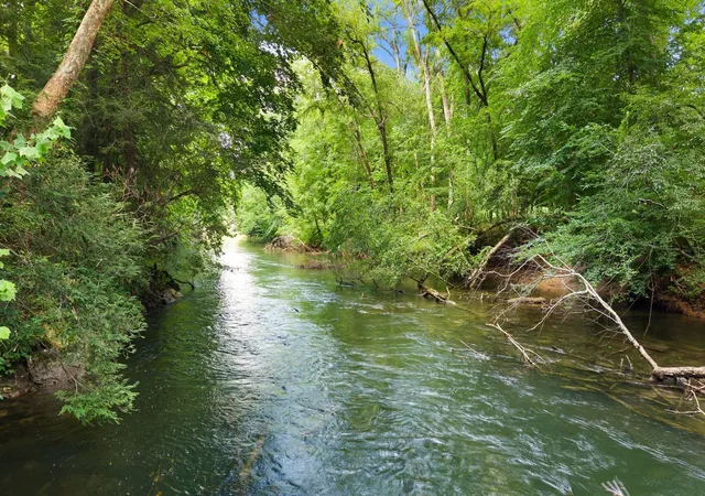 2nd image of 800 Reynolds Bridge Road, Benton, TN 37307 | MLS# 3268544