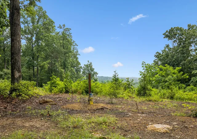 1st image of 1065 Sioux Trail, Pegram, TN 37143 | MLS# 3269661