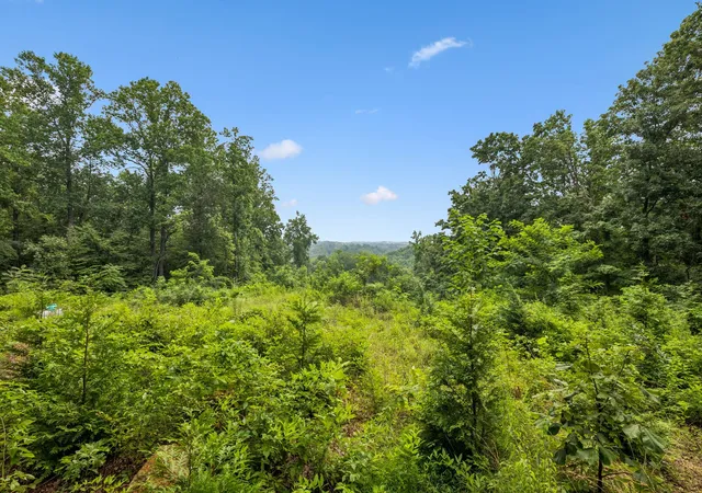 4th image of 1065 Sioux Trail, Pegram, TN 37143 | MLS# 3269661