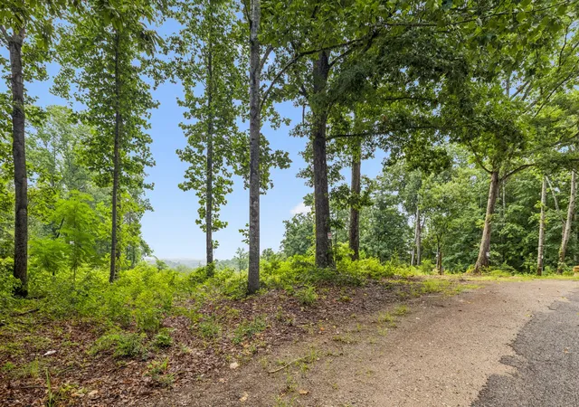 5th image of 1065 Sioux Trail, Pegram, TN 37143 | MLS# 3269661