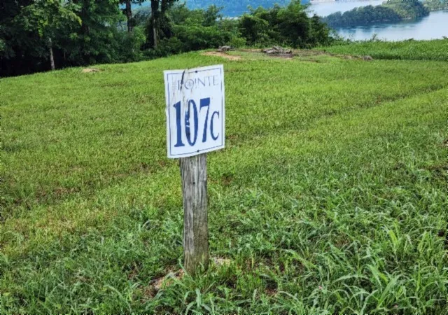 4th image of 0 Sunfish Ln, Hilham, TN 38568 | MLS# 3268785