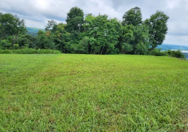 5th image of 0 Sunfish Ln, Hilham, TN 38568 | MLS# 3268785