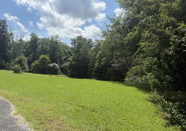 2nd image of 0 Brenda Circle, Mc Minnville, TN 37110 | MLS# 3269432
