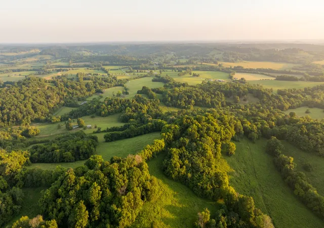 2nd image of 3556 Buford Station Rd, Lynnville, TN 38472 | MLS# 3279150