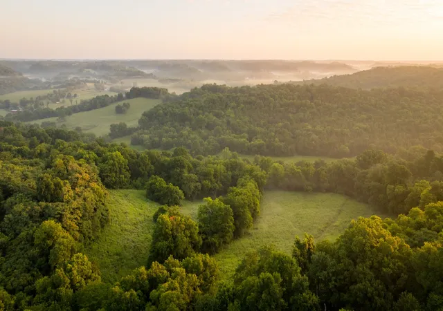 Photo 3 of Land for sale at 3556 Buford Sta Rd, Lynnville, TN 38472 | MLS# 3279150 | Listing updated on 2026-08-20