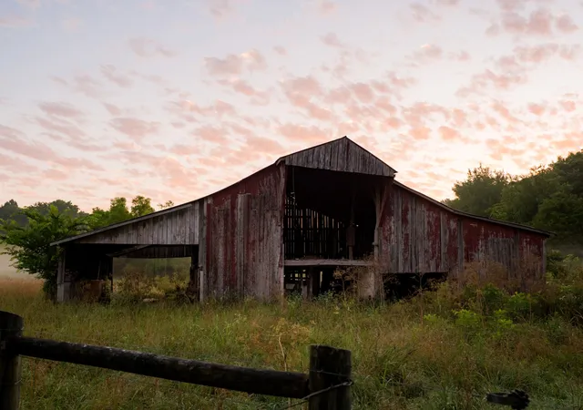 64th image of 3556 Buford Station Rd, Lynnville, TN 38472 | MLS# 3279150