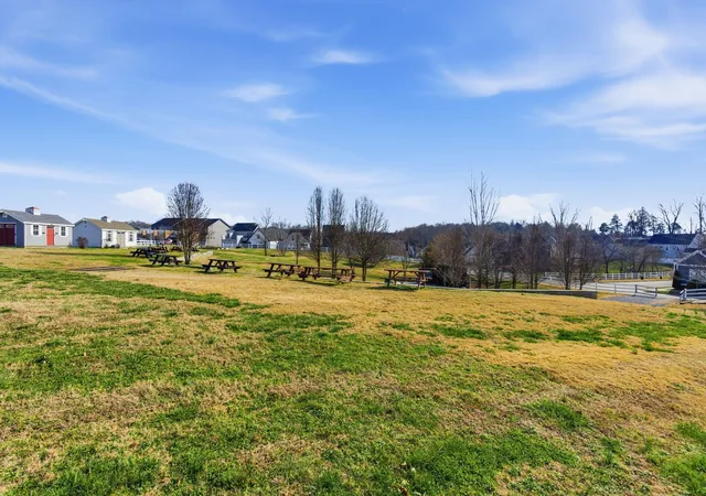 Homes for sale in Pleasant View, TN | 315 Augusta Ave, Pleasant View, TN 37146 | MLS# 3269706