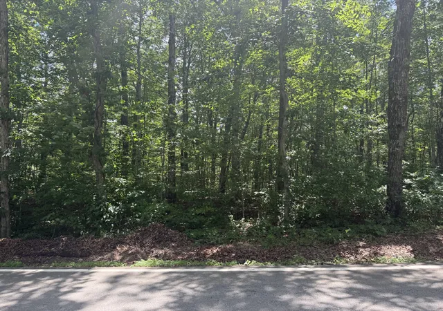 Homes for sale in Crawford, TN | 0 Wilder Hwy, Crawford, TN 38554 | MLS# 3269727