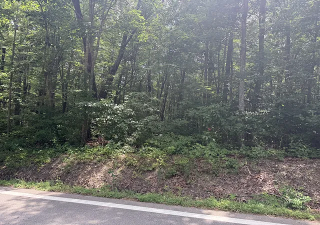 Homes for sale in Crawford, TN | 0 Wilder Hwy, Crawford, TN 38554 | MLS# 3269727