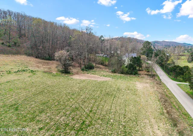 Homes for sale in Decatur, TN | 7 N Nopone Valley Rd, Decatur, TN 37322 | MLS# 3269911