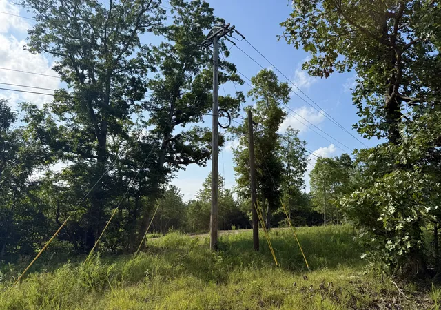 Photo 17 of Land for sale at 0 Highway 231, Erin, TN 37061 | MLS# 3272113 | Listing updated on 2026-08-26
