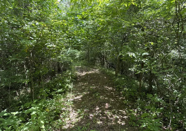 46th image of 0 Winchester Hwy, Kelso, TN 37348 | MLS# 3270244
