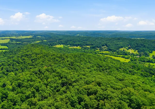3rd image of 813 Ward Rd, Decatur, TN 37322 | MLS# 3276781