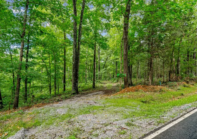 Land for sale at 5021 Old Hwy 13, Cunningham, TN 37052 | MLS# 3279119