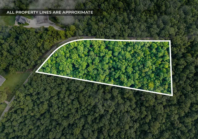 Photo 2 of Land for sale at 5021 Old Hwy 13, Cunningham, TN 37052 | MLS# 3279119 | Listing updated on 2026-09-22