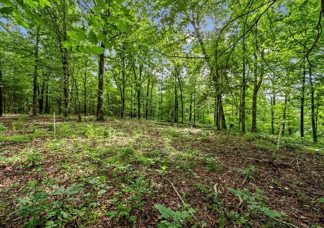 Homes for sale in Cumberland City, TN | 5021 Old Hwy 13, Cumberland City, TN 37050 | MLS# 3279119