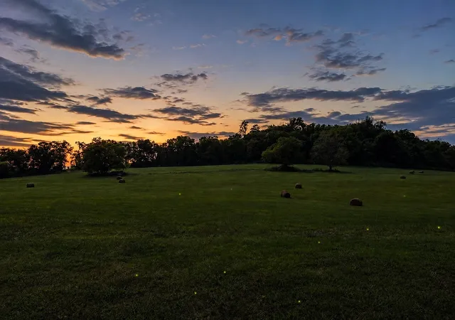 Photo 3 of Land for sale at 1914 Thompsons Sta Rd W, Thompsons Station, TN 37179 | MLS# 3287541 | Listing updated on 2026-08-19