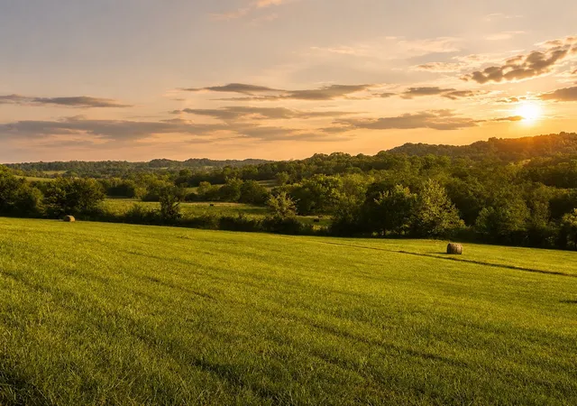 Photo 4 of Land for sale at 1914 Thompsons Sta Rd W, Thompsons Station, TN 37179 | MLS# 3287541 | Listing updated on 2026-08-19