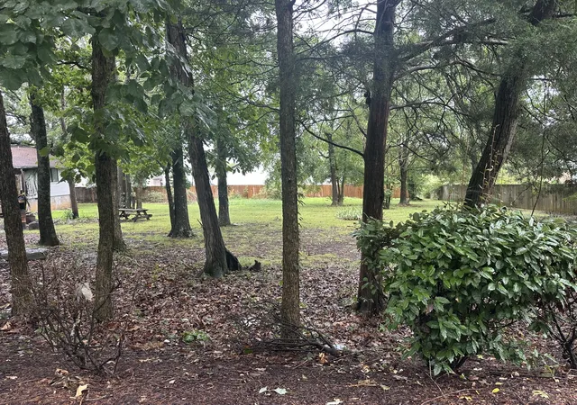 3rd image of 1323 Bluebird Rd, Lebanon, TN 37087 | MLS# 3272068