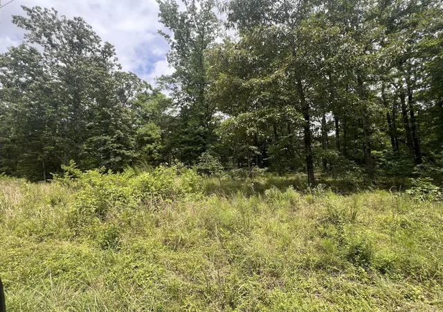 5th image of 1 Lakeview Dr, Linden, TN 37096 | MLS# 3270558
