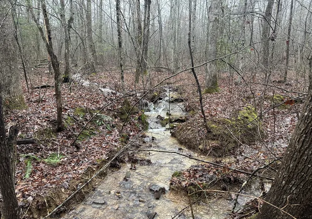 1st image of 0 Main St, Palmer, TN 37365 | MLS# 3272212