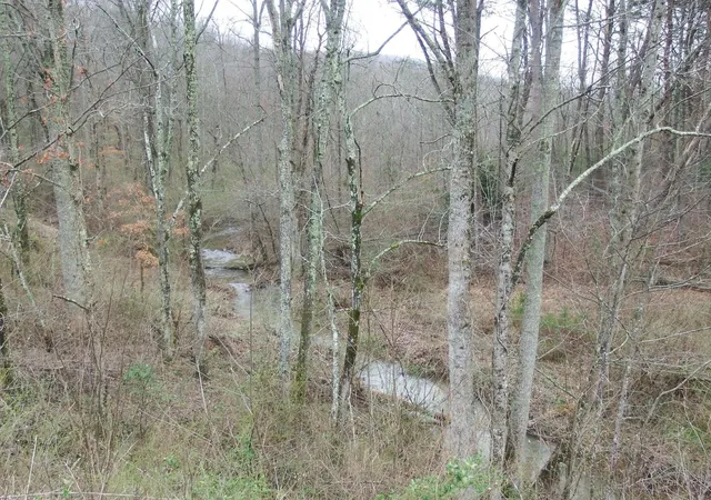 3rd image of 0 Main St, Palmer, TN 37365 | MLS# 3272212