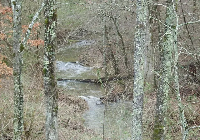 4th image of 0 Main St, Palmer, TN 37365 | MLS# 3272212