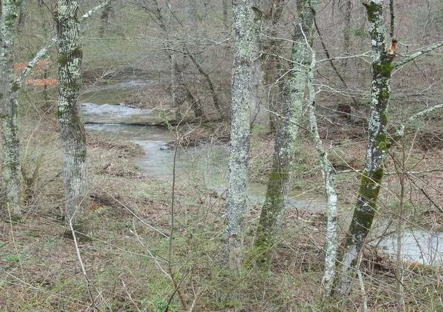5th image of 0 Main St, Palmer, TN 37365 | MLS# 3272212