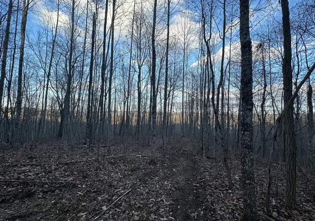8th image of 0 Main St, Palmer, TN 37365 | MLS# 3272212