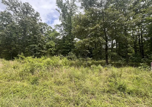 3rd image of 2 Lakeview Dr, Linden, TN 37096 | MLS# 3270585