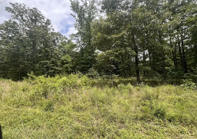 5th image of 4 Lake View Dr, Linden, TN 37096 | MLS# 3270577
